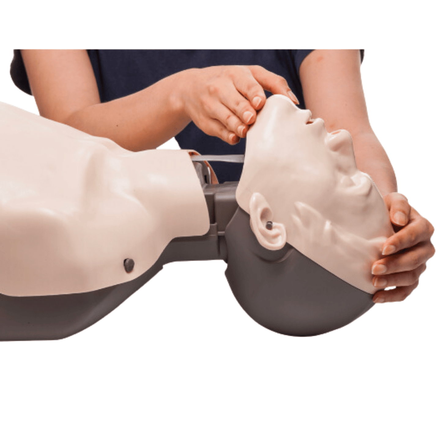 Brayden Pulse CPR Manikin (1) - First Aid Distributions