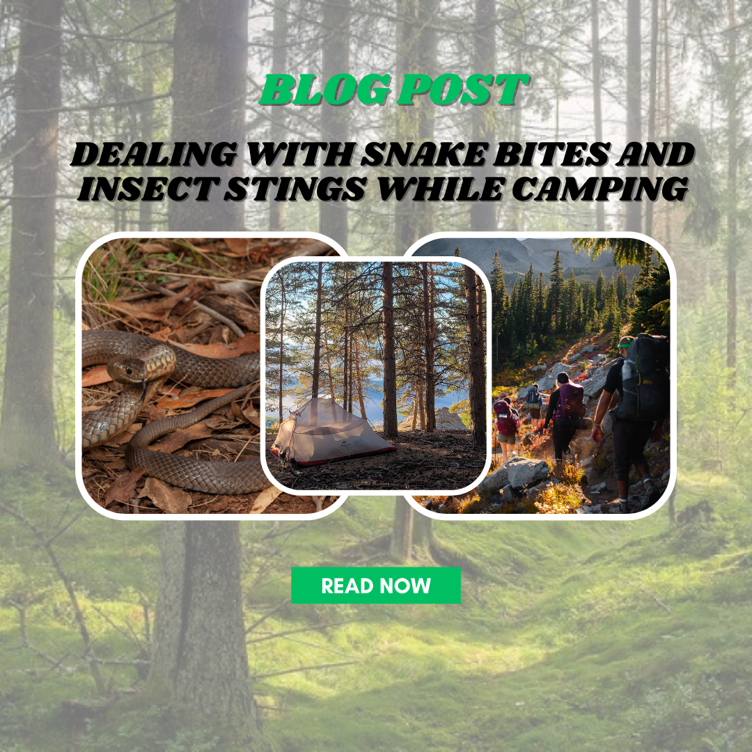 Conquering the Creepy Crawlies: Dealing with Snake Bites and Insect St