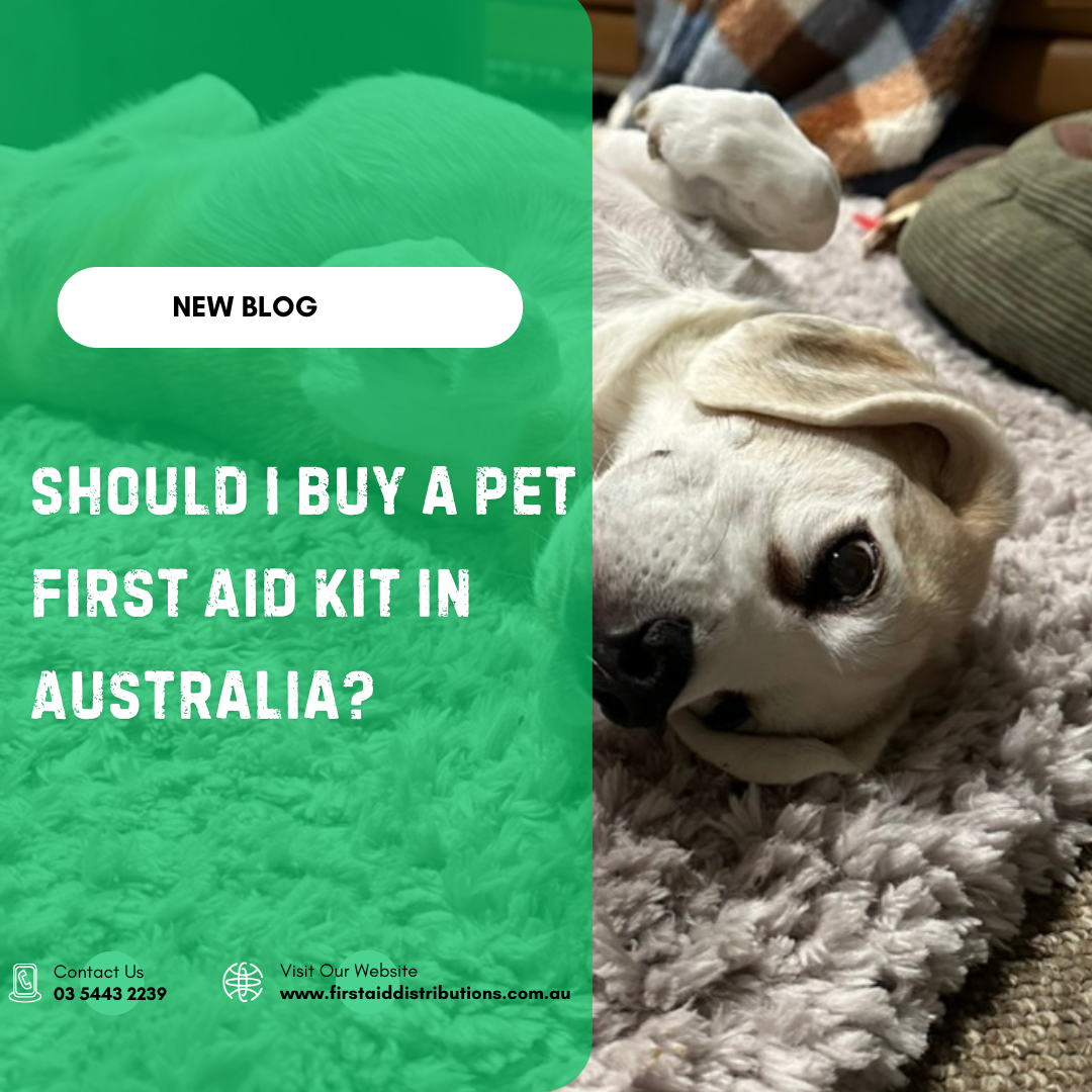 Should I Buy a Pet First Aid Kit in Australia?