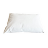 Wipeclean Medical Pillow (1)