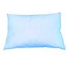 Pillow Protector Zippered Blue Vinyl (1)