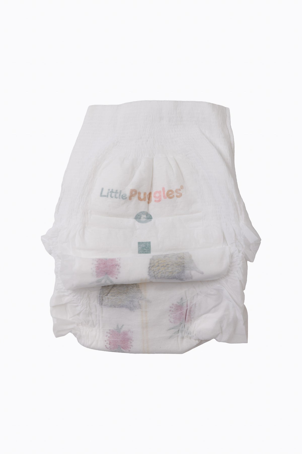 Little Puggles Size 5 nappy pant, front, with Echidna and Pink Bottlebrush artwork